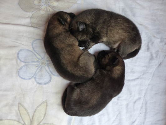 Einer für alle, alle für einen