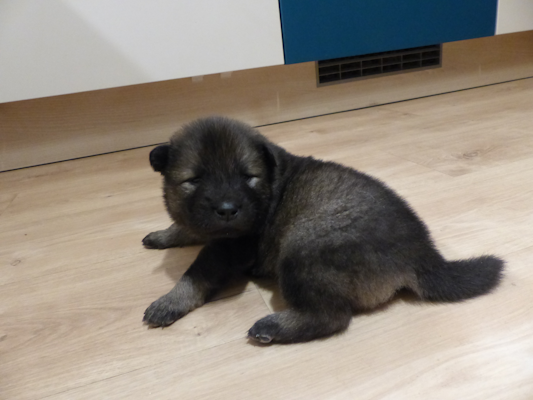 Ausflug in die Küche