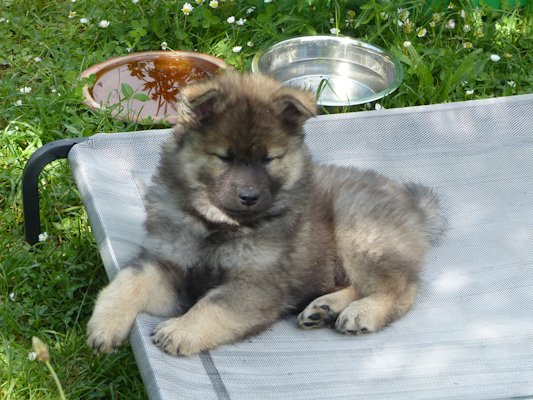 Einfach nur chillen