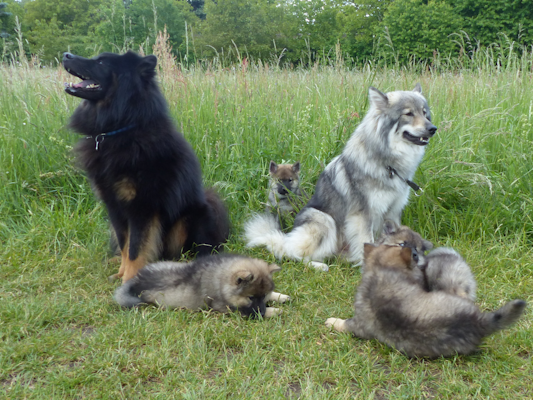 Familienfoto