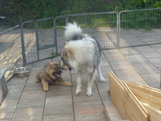 Ohne Geschwister musste die Mama mitspielen.