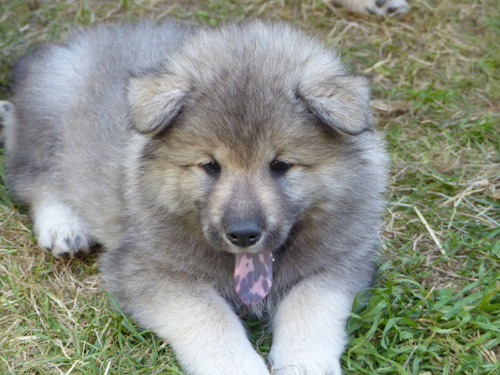 So habe ich meine Familie kennengelernt