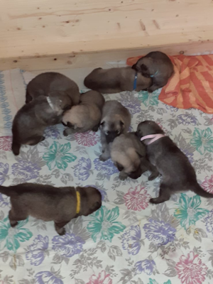 Meine Geschwister und ich