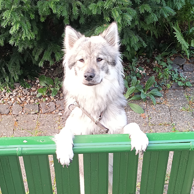 Schau mal, wie groß ich schon bin