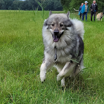 Schnell wie der Blitz