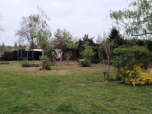Bild von unserem Garten