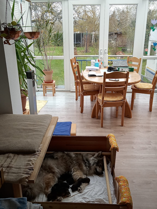 Bild von Wurfbox vor dem Wintergarten